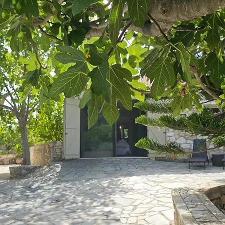 Ferienhaus Ploes Luxury *