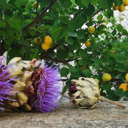 Prázdninový dům Ploes Luxury *