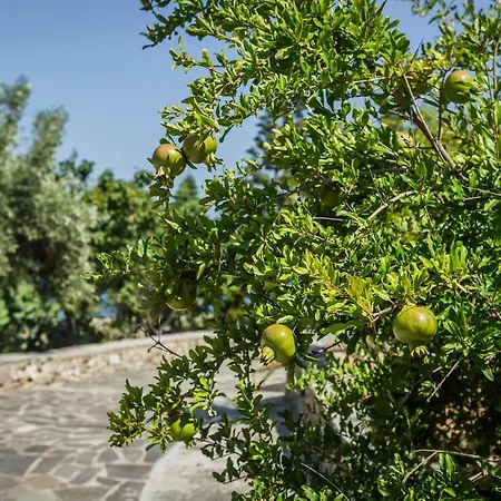 Hébergement de vacances Ploes Luxury Pesádha